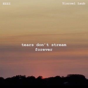 Ezzi - tears don't stream forever