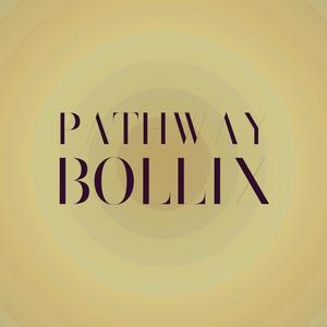 Pathway Bollix