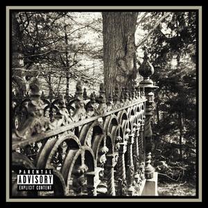 Cemetery Gates(feat. SPVNYVN) (Explicit)