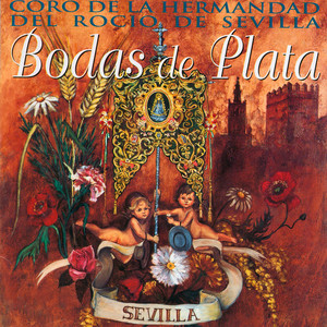 Bodas de Plata