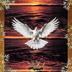 guilt/shame/regret/remorse (Explicit)