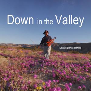 Virginia Reel Down in the Valley (feat. Buffalo Dave) (extended square dance music mix that includes the traditional folk music melodies Down in the Valley and the Red River Valley performed in bluegrass music and old time music styles)