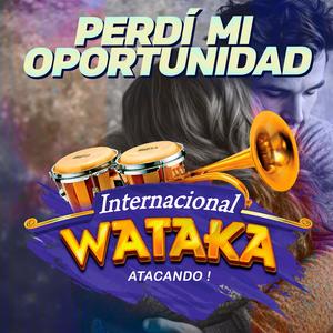 Perdí Mi Oportunidad (feat. Shaguiman)