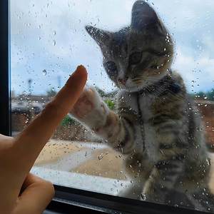 你总问在一起会不会感到厌倦 (女版)