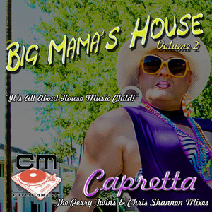 Big Mama's House - Volume 2