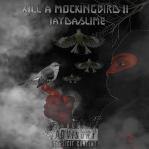 Kill a mockingbird II (Explicit)