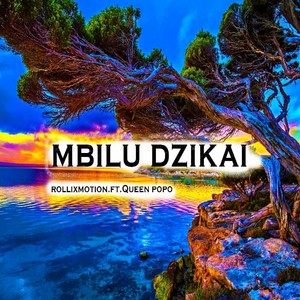 Mbilu Dzikai