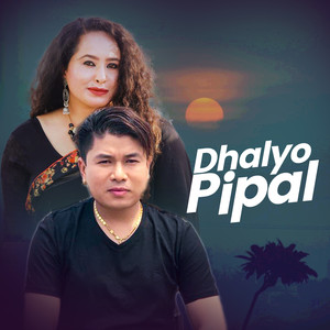 Dhalyo Pipal