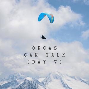 Orcas Can Talk (Day 7)