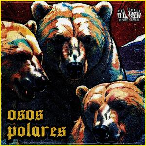 OSOS POLARES (Explicit)