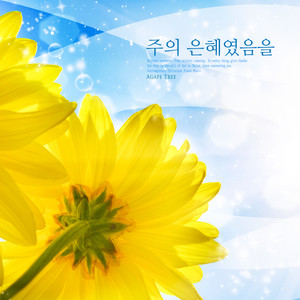 주의 은혜였음을 (Grace of the Lord)