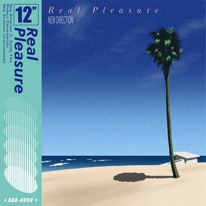 New Direction (feat. Cyndy Fike)