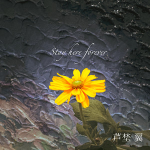 Stay here forever (feat. MITSUKI) [Explicit]