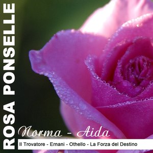 Norma - 