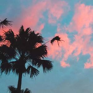 今天的☆很美，你也一样