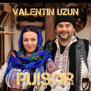 Puisor