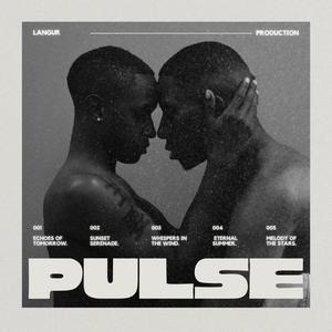 Pulse (Explicit)