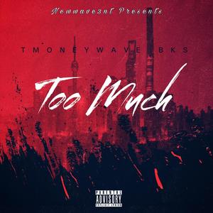 Too Much (feat. BKS) (Explicit)