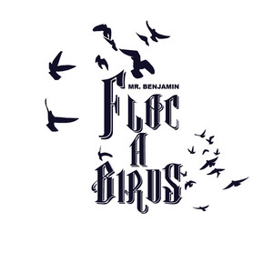 FLOC-A-BIRDS