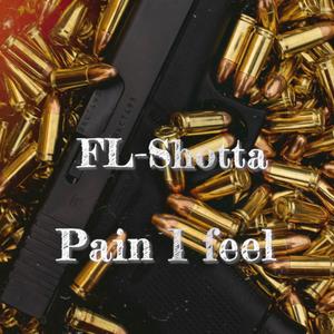 Pain I Feel (Explicit)