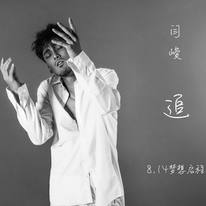 闫峻 - 追