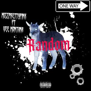 Random (feat. Vee Montana) (Explicit)