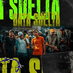 Gata Suelta RKT (feat. Leandro, Towi & Paly)