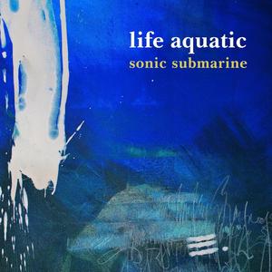 Sonic Submarine