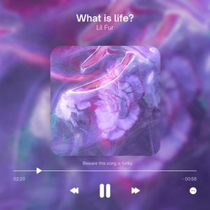 What is life? (Explicit)