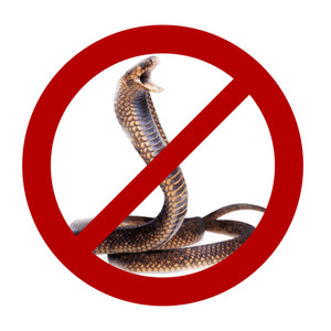 Never Will I (Explicit)