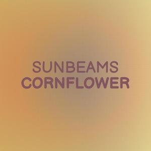 Sunbeams Cornflower