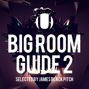 Big Room Guide 2 (Selected by James Black Pitch) [Explicit]