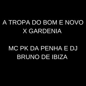 A TROPA DO BOM E NOVO X GARDENIA AZUL (feat. Mc Pk da Penha)