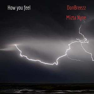 How you feel (feat. Mizta nyne) (Explicit)