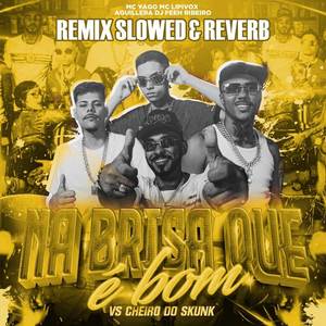 Na Brisa Que é Bom VS Cheiro do Skunk (Slowed & Reverb) (Explicit)