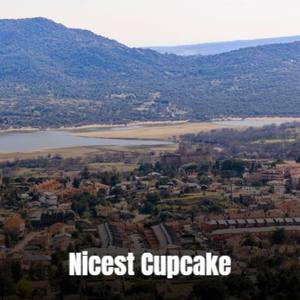 Nicest Cupcake