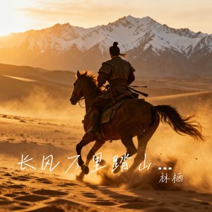 长风万里踏山河封面