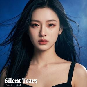 Fading Light-Cold Night