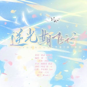 逆光期飞行