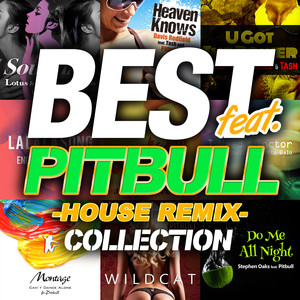 BEST feat. PITBULL COLLECTION -HOUSE REMIX-