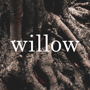 Willow