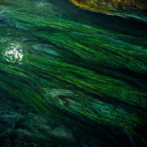 我们可以半夜去看海吗?