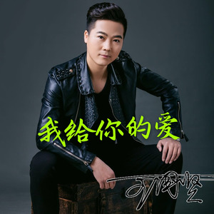 我给你的爱 (伴奏)