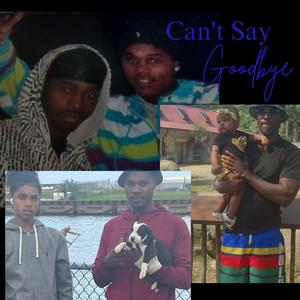 Can't Say Goodbye (Explicit)