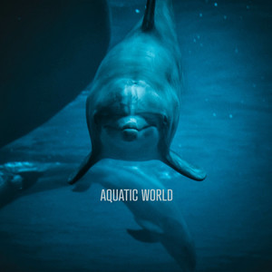 Relaxing Dolphin Sounds, Pt. 7