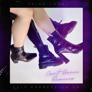 Can't Dance: Self Expression Remixes