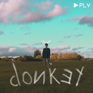 Donkey (Explicit)