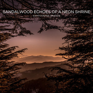 Sandalwood Echoes of a Neon Shrine