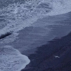 循晚风入梦境又清醒