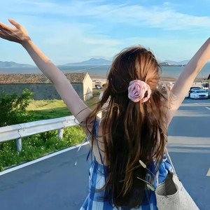 等你的季节-吴诗诗